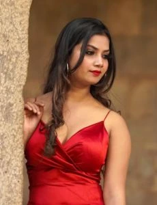 call girl service in Gopalapuram